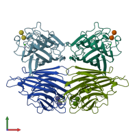 PDB entry 1bzw coloured by chain, front view.