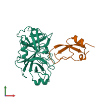 PDB entry 1bzx coloured by chain, front view.