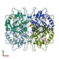 PDB entry 1bzy coloured by chain, front view.