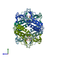PDB entry 1bzy coloured by chain, side view.