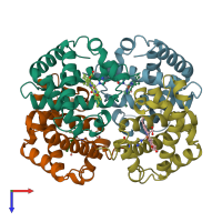 PDB entry 1bzz coloured by chain, top view.