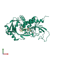 PDB entry 1c0k coloured by chain, front view.