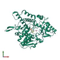 PDB entry 1c0n coloured by chain, front view.