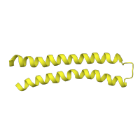 The deposited structure of PDB entry 1c17 contains 12 copies of SCOP domain 81332 (F1F0 ATP synthase subunit C) in ATP synthase subunit c. Showing 1 copy in chain A.