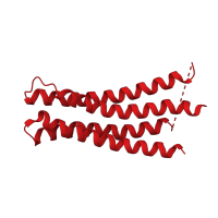 The deposited structure of PDB entry 1c17 contains 1 copy of CATH domain 1.20.120.220 (Four Helix Bundle (Hemerythrin (Met), subunit A)) in ATP synthase subunit a. Showing 1 copy in chain M.