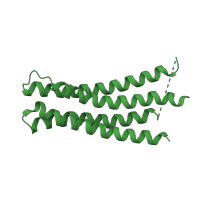 The deposited structure of PDB entry 1c17 contains 1 copy of SCOP domain 81335 (F1F0 ATP synthase subunit A) in ATP synthase subunit a. Showing 1 copy in chain M.