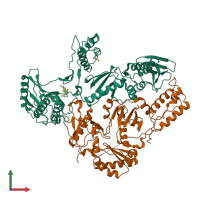 PDB entry 1c1c coloured by chain, front view.