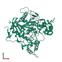 PDB entry 1c2b coloured by chain, front view.