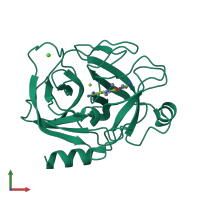 PDB entry 1c2h coloured by chain, front view.