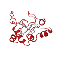 The deposited structure of PDB entry 1c2n contains 1 copy of CATH domain 1.10.760.10 (Cytochrome Bc1 Complex; Chain D, domain 2) in Cytochrome c2. Showing 1 copy in chain A.