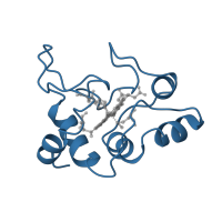 The deposited structure of PDB entry 1c2n contains 1 copy of SCOP domain 46627 (monodomain cytochrome c) in Cytochrome c2. Showing 1 copy in chain A.