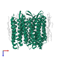 Bacteriorhodopsin in PDB entry 1c3w, assembly 1, top view.