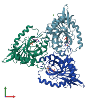 PDB entry 1c3x coloured by chain, front view.