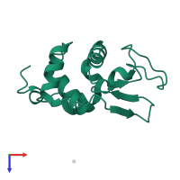 Lysozyme C in PDB entry 1c43, assembly 1, top view.