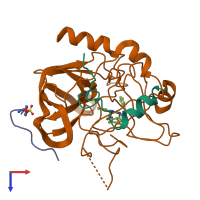 PDB entry 1c4y coloured by chain, top view.