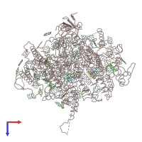 PDB entry 1c51 coloured by chain, top view.