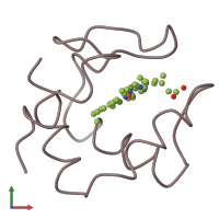 PDB entry 1c53 coloured by chain, front view.