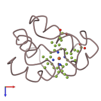 PDB entry 1c53 coloured by chain, top view.