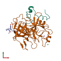 PDB entry 1c5l coloured by chain, front view.