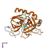 PDB entry 1c5l coloured by chain, top view.