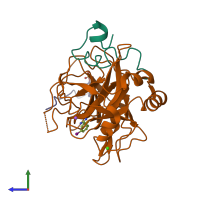 PDB entry 1c5n coloured by chain, side view.