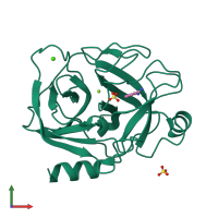 PDB entry 1c5p coloured by chain, front view.