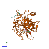 PDB entry 1c5z coloured by chain, side view.