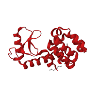 The deposited structure of PDB entry 1c6k contains 1 copy of CATH domain 1.10.530.40 (Lysozyme) in Endolysin. Showing 1 copy in chain A.