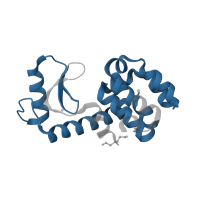 The deposited structure of PDB entry 1c6k contains 1 copy of Pfam domain PF00959 (Phage lysozyme) in Endolysin. Showing 1 copy in chain A.