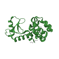 The deposited structure of PDB entry 1c6k contains 1 copy of SCOP domain 53981 (Phage lysozyme) in Endolysin. Showing 1 copy in chain A.