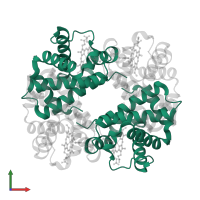 Hemoglobin subunit alpha in PDB entry 1c7b, assembly 1, front view.