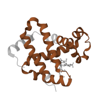 The deposited structure of PDB entry 1c7c contains 2 copies of Pfam domain PF00042 (Globin) in Hemoglobin subunit beta. Showing 1 copy in chain B.