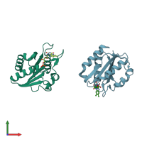 PDB entry 1c7f coloured by chain, front view.