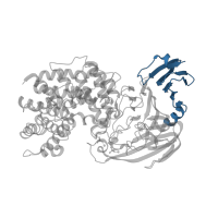 The deposited structure of PDB entry 1c82 contains 1 copy of CATH domain 2.60.220.10 (Chondroitinase Ac; Chain A, domain 3) in Hyaluronate lyase. Showing 1 copy in chain A.