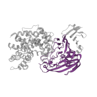 The deposited structure of PDB entry 1c82 contains 1 copy of Pfam domain PF02278 (Polysaccharide lyase family 8, super-sandwich domain) in Hyaluronate lyase. Showing 1 copy in chain A.