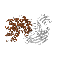The deposited structure of PDB entry 1c82 contains 1 copy of SCOP domain 48234 (Hyaluronate lyase-like catalytic, N-terminal domain) in Hyaluronate lyase. Showing 1 copy in chain A.