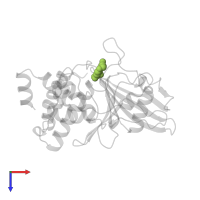 2-(OXALYL-AMINO)-4,7-DIHYDRO-5H-THIENO[2,3-C]PYRAN-3-CARBOXYLIC ACID in PDB entry 1c86, assembly 1, top view.