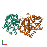 PDB entry 1c8v coloured by chain, front view.