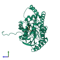 PDB entry 1c9c coloured by chain, side view.