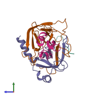 Hetero tetrameric assembly 1 of PDB entry 1ca0 coloured by chemically distinct molecules, side view.