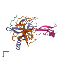 Hetero tetrameric assembly 1 of PDB entry 1ca0 coloured by chemically distinct molecules, top view.