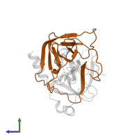 Chymotrypsin A chain B in PDB entry 1ca0, assembly 2, side view.