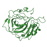 The deposited structure of PDB entry 1ca2 contains 1 copy of SCOP domain 51070 (Carbonic anhydrase) in Carbonic anhydrase 2. Showing 1 copy in chain A.