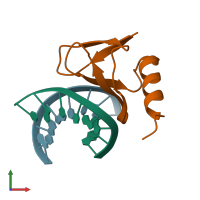 PDB entry 1ca5 coloured by chain, front view.