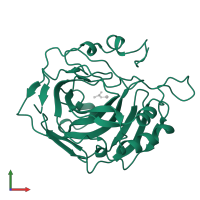 Carbonic anhydrase 2 in PDB entry 1cay, assembly 1, front view.