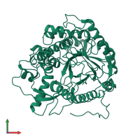 PDB entry 1cbg coloured by chain, front view.