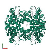 Hemoglobin subunit beta in PDB entry 1cbl, assembly 1, front view.
