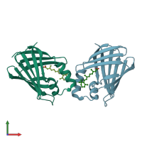 PDB entry 1cbr coloured by chain, front view.