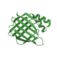 The deposited structure of PDB entry 1cbs contains 1 copy of SCOP domain 50847 (Fatty acid binding protein-like) in Cellular retinoic acid-binding protein 2. Showing 1 copy in chain A.