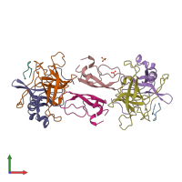 PDB entry 1cbw coloured by chain, front view.